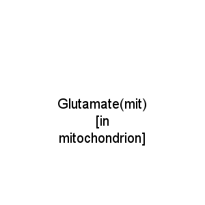 Glutamate(mit) [in mitochondrion]